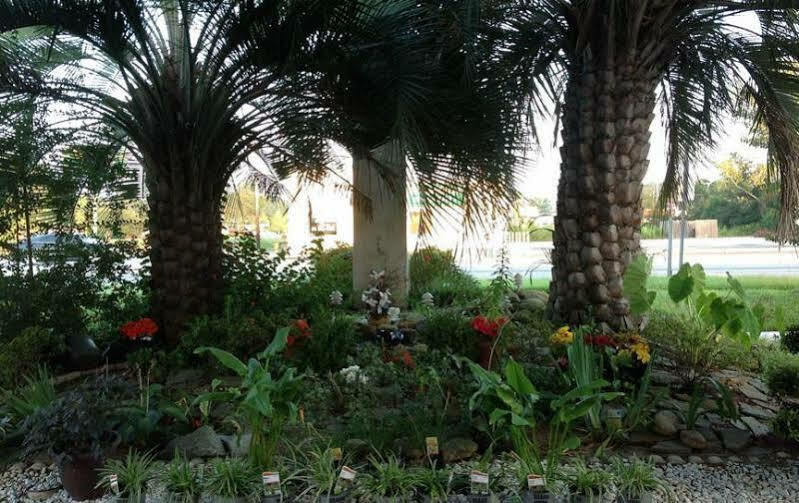 Quality Inn Goose Creek - Charleston Екстериор снимка